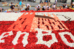 Begoniatapijt 2011