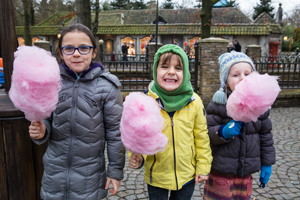 Efteling 2013