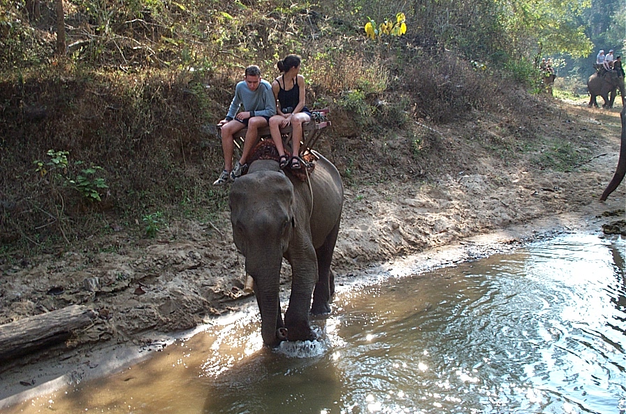 De olifant van Wouter en Annelies weet waarheen hij hen moet brengen